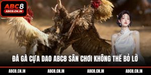 đá gà cựa dao ABC8