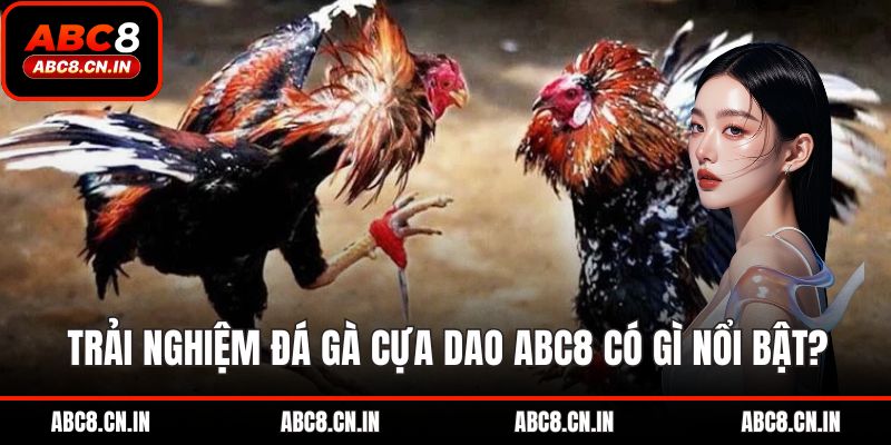Trải nghiệm đá gà cựa dao ABC8 có gì nổi bật?