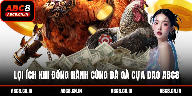 Lợi ích khi đồng hành cùng đá gà cựa dao ABC8