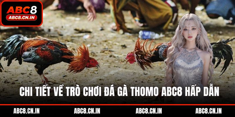  Chi tiết về trò chơi đá gà Thomo ABC8 hấp dẫn