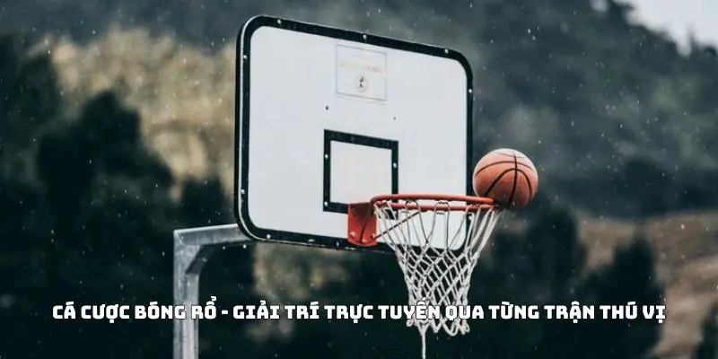 Cá Cược Bóng Rổ - Giải Trí Trực Tuyến Qua Từng Trận Thú Vị