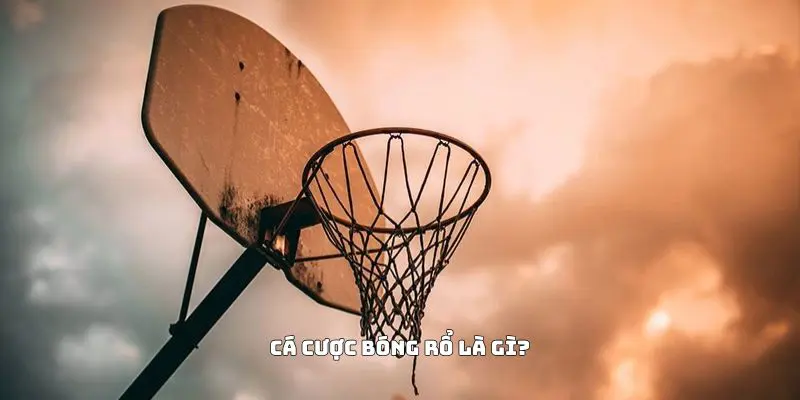 Cá cược bóng rổ là gì?