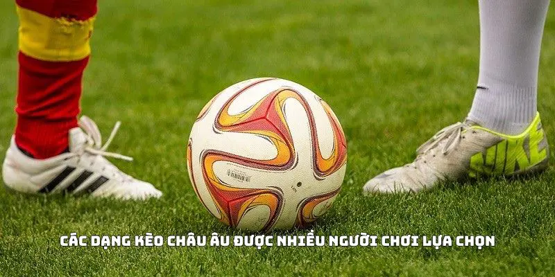 Các dạng kèo Châu Âu được nhiều người chơi lựa chọn