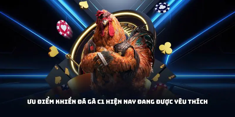 Ưu điểm khiến đá gà C1 hiện nay đang được yêu thích
